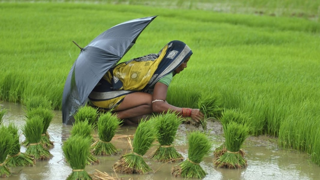 India fertiliser sector Coromandel Chambal GNFC urea kharif demand Q1 FY27