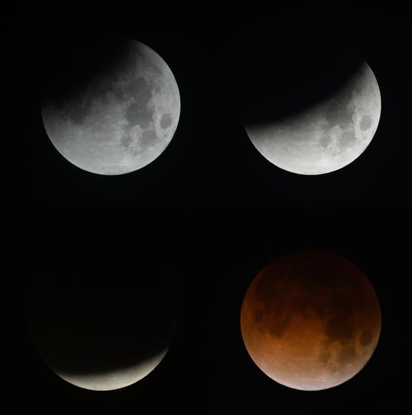Four-frame composite showing a lunar eclipse deepening from a small shadow bite to a fully coppery disc