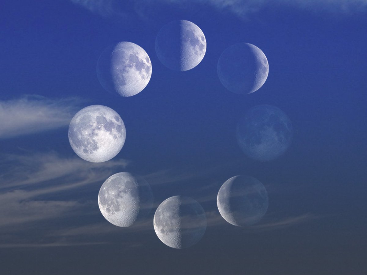 Diagram showing all eight phases of the lunar cycle from new moon through full moon and back