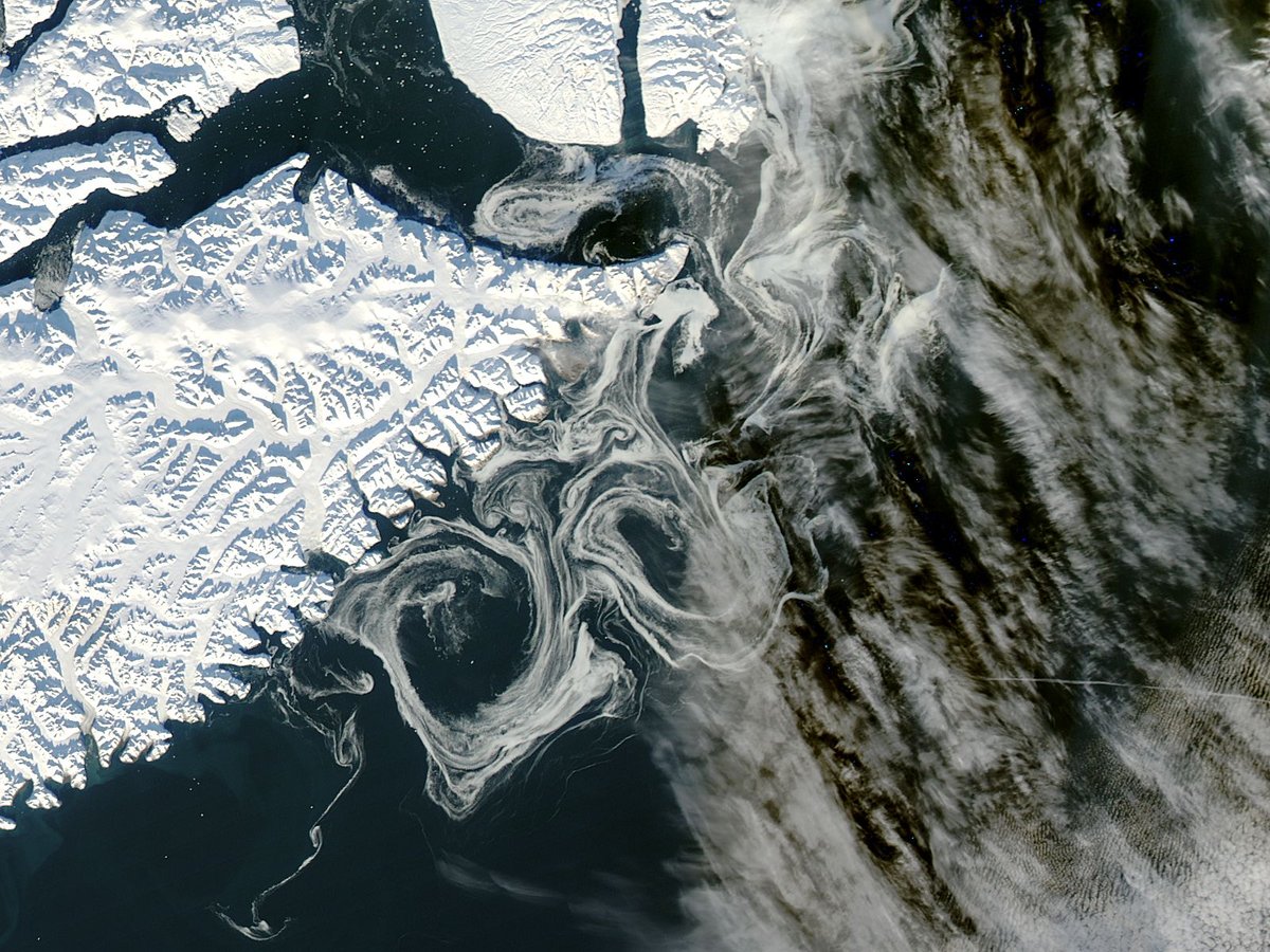 NASA Aqua satellite MODIS instrument captures sea ice formations near eastern Greenland