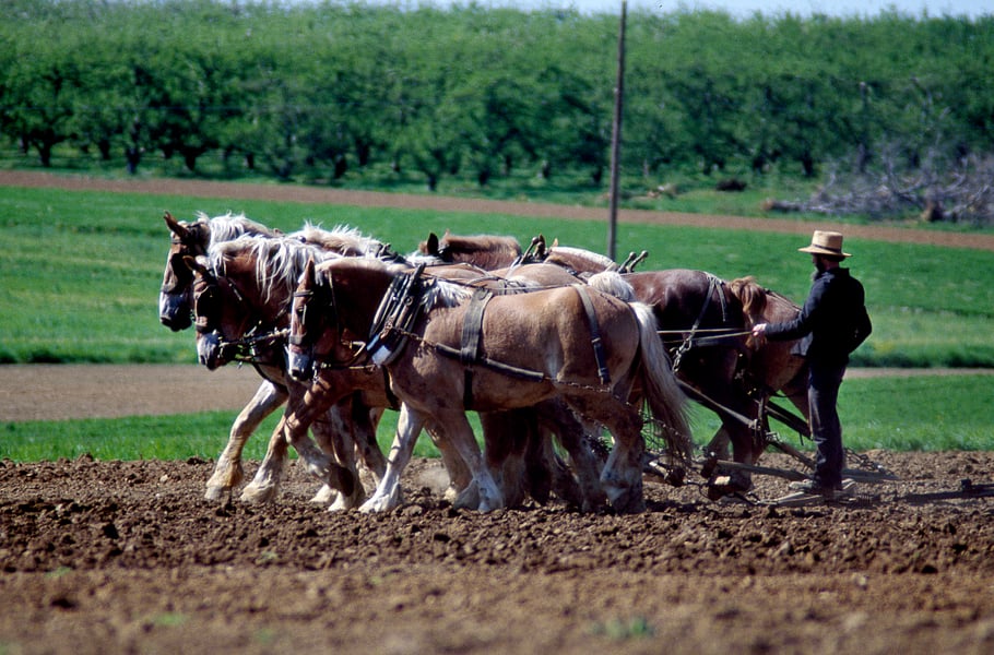 NYSE trading floor pre-market futures activity August 2026