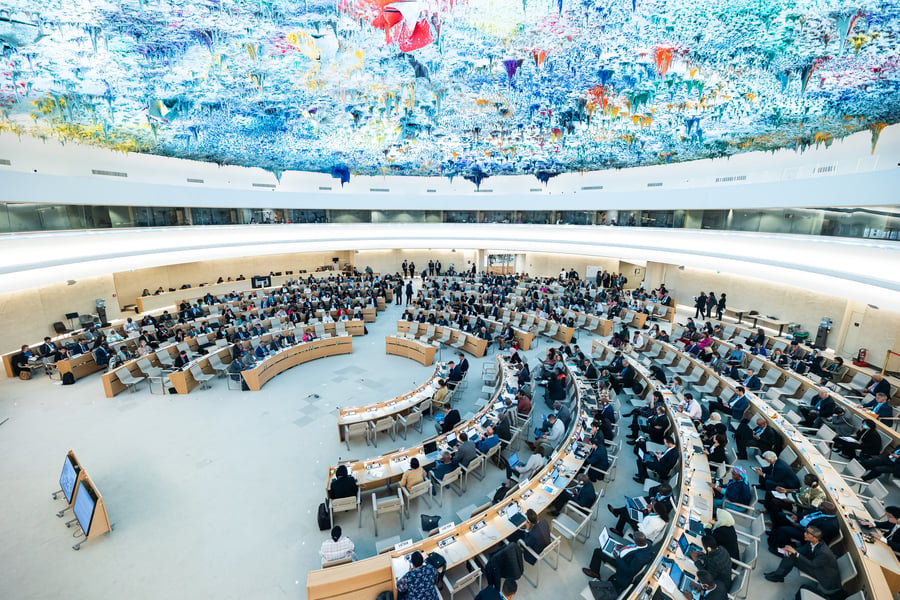 Delegates seated in a committee session of the World Health Assembly at the Palais des Nations in Geneva