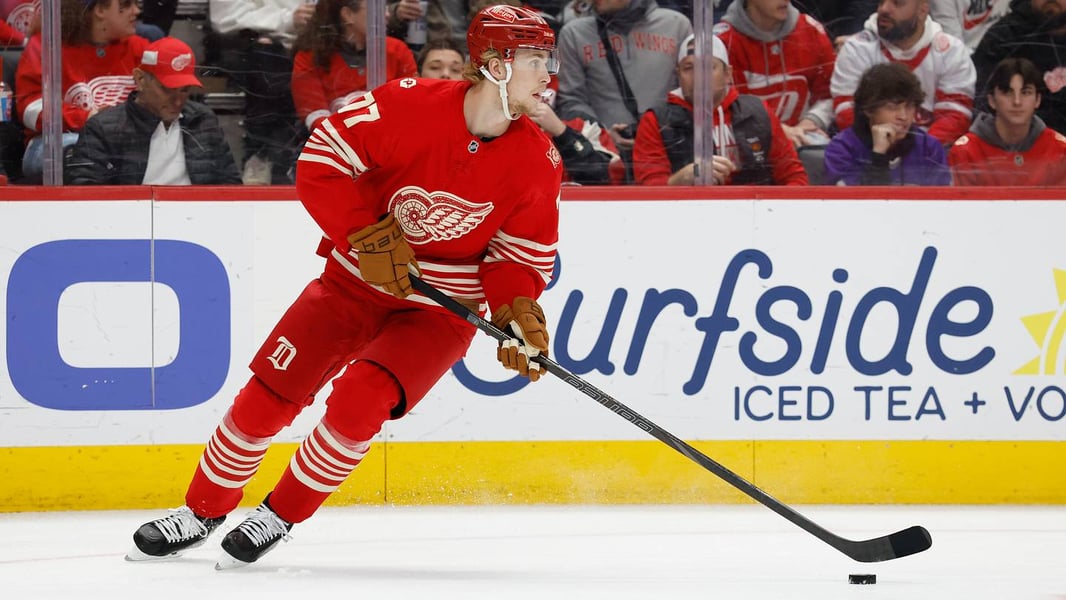 Simon Edvinsson Detroit Red Wings defenseman contract unsigned 2026 training camp