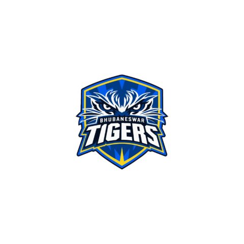 Hunch Ventures Expands Sports Portfolio with Bhubaneswar Tigers Franchise in Odisha T20 League