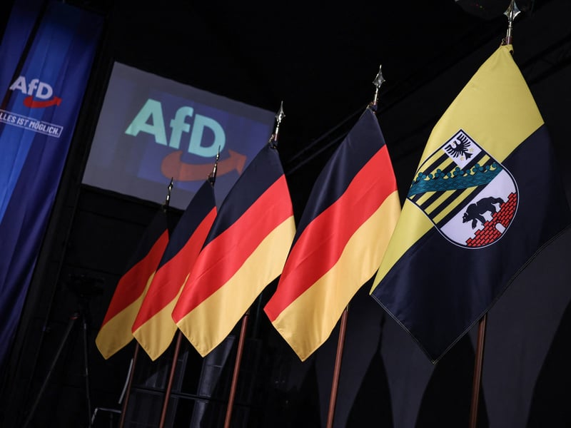 AfD party supporters at German state election celebration as far-right wins Saxony-Anhalt and Mecklenburg