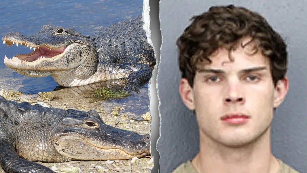 Clavicular charged with shooting dead alligator in Florida Everglades livestream
