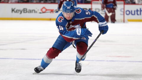 Dalibor Dvorsky skating for the St. Louis Blues
