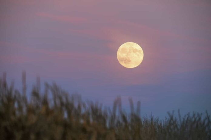 Harvest Moon 2026 Full Moon Aries September 26 horoscope conjunct Neptune
