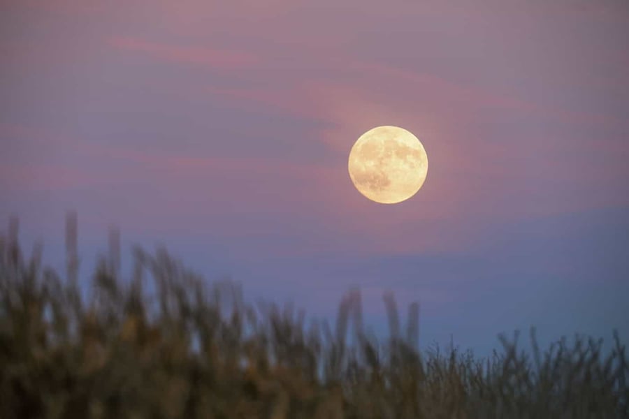 Harvest Moon 2026 Full Moon Aries September 26 horoscope conjunct Neptune