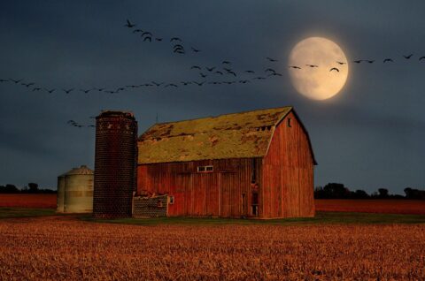 Full Harvest Moon rising in September 2026 photographed by Mike Linnihan