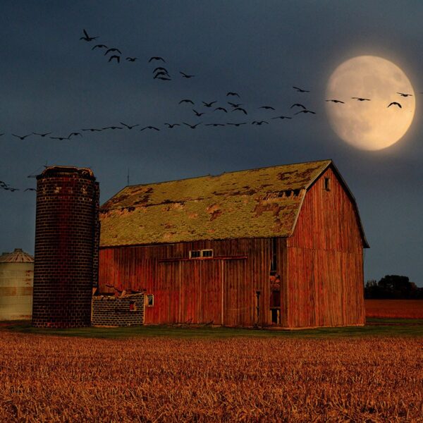 Full Harvest Moon rising in September 2026 photographed by Mike Linnihan