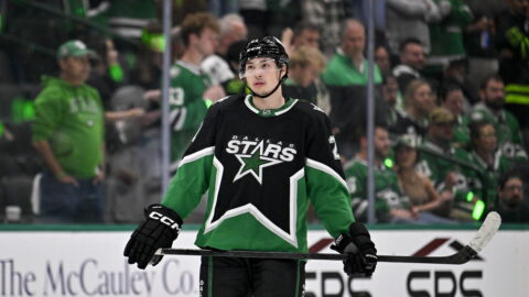 Jason Robertson Dallas Stars winger NHL 2026