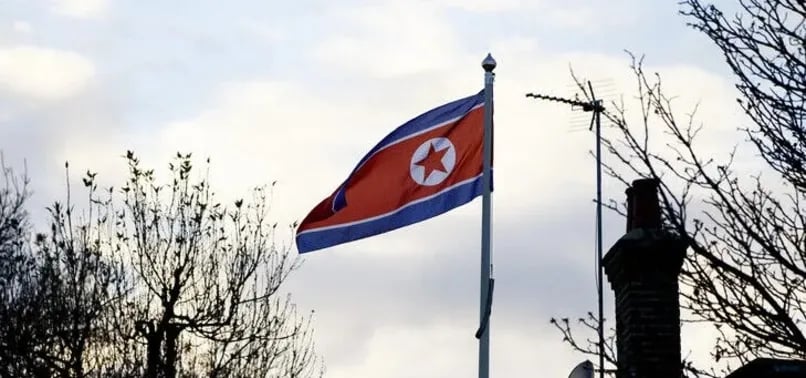 Kim Yo Jong North Korea nuclear statement IAEA Vienna 2026