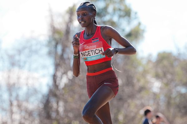 Agnes Ngetich crosses the finish line at World Athletics Road Running Championships Copenhagen 2026