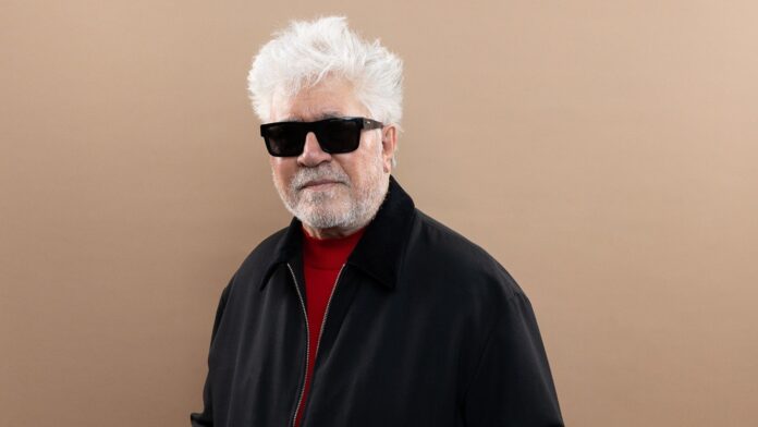 Pedro Almodóvar at the Toronto International Film Festival 2026 for the North American premiere of Bitter Christmas