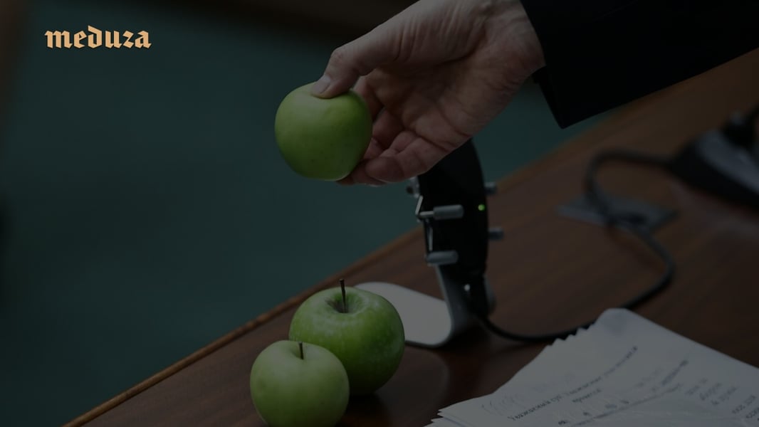 Yabloko party members after disqualification from Russia's 2026 State Duma election ballot