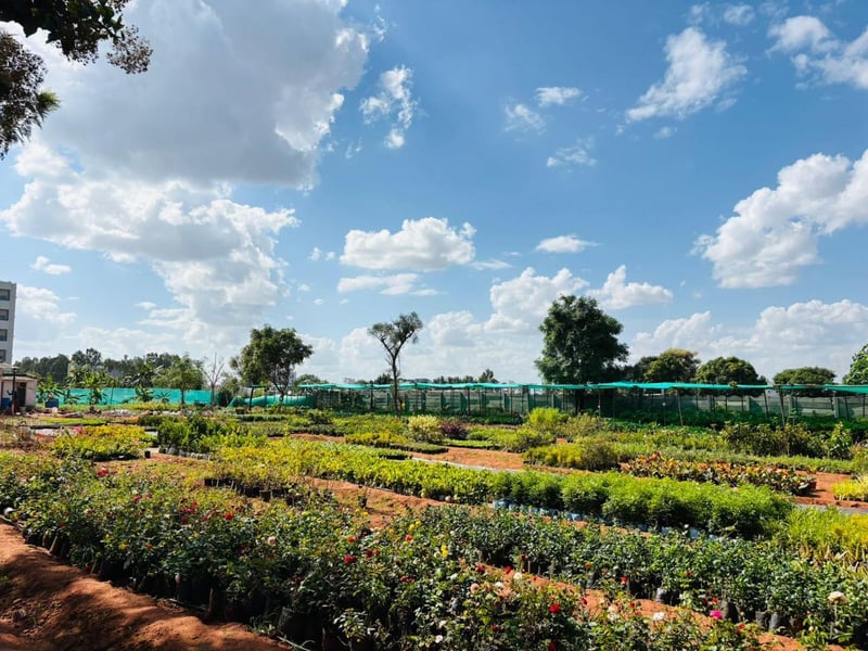 Urvann Goes Back to the Roots With Its Own Farms to Put Plant Quality and Customer Experience First
