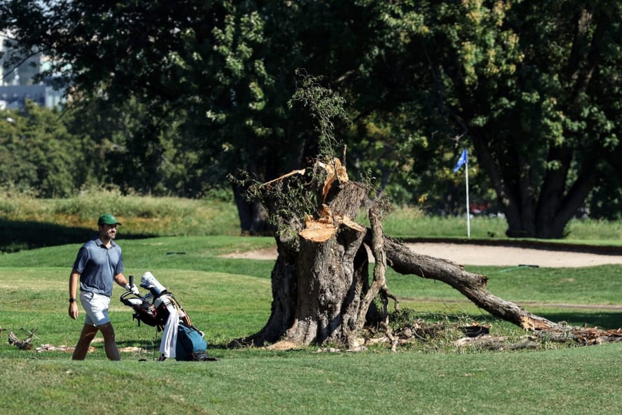 A golfer pushes a bag cart past a large tree stump on East Potomac Golf Links in Washington