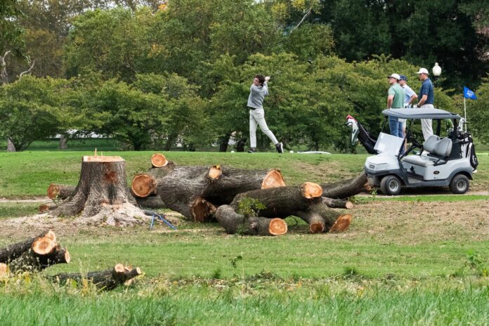 Golfers tee off beside a pile of felled tree trunks and a stump at East Potomac Golf Links in Washington