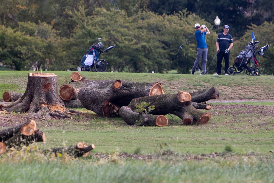 Two golfers tee off behind large felled tree trunks and a stump on East Potomac Golf Links in Washington