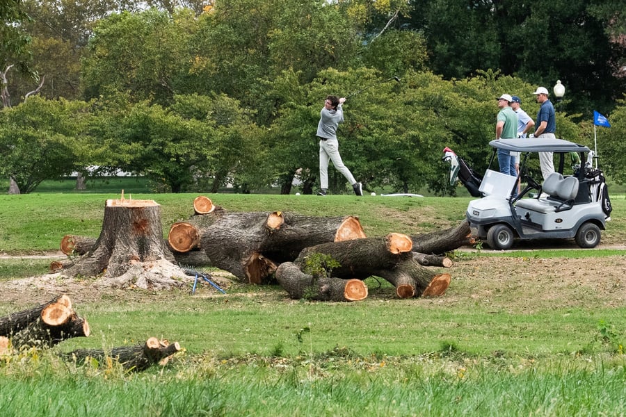 Golfers tee off beside a pile of felled tree trunks and a stump at East Potomac Golf Links in Washington