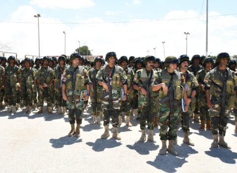Rows of Egyptian soldiers in helmets and camouflage standing in formation on a paved parade ground