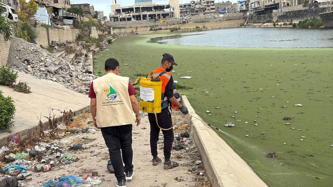 Two workers walk beside a green pond of stagnant water in Gaza, one spraying it from a backpack tank