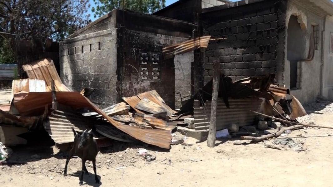 A goat stands in front of a burned and partially destroyed building with corrugated metal roofing in Cite Soleil, Haiti