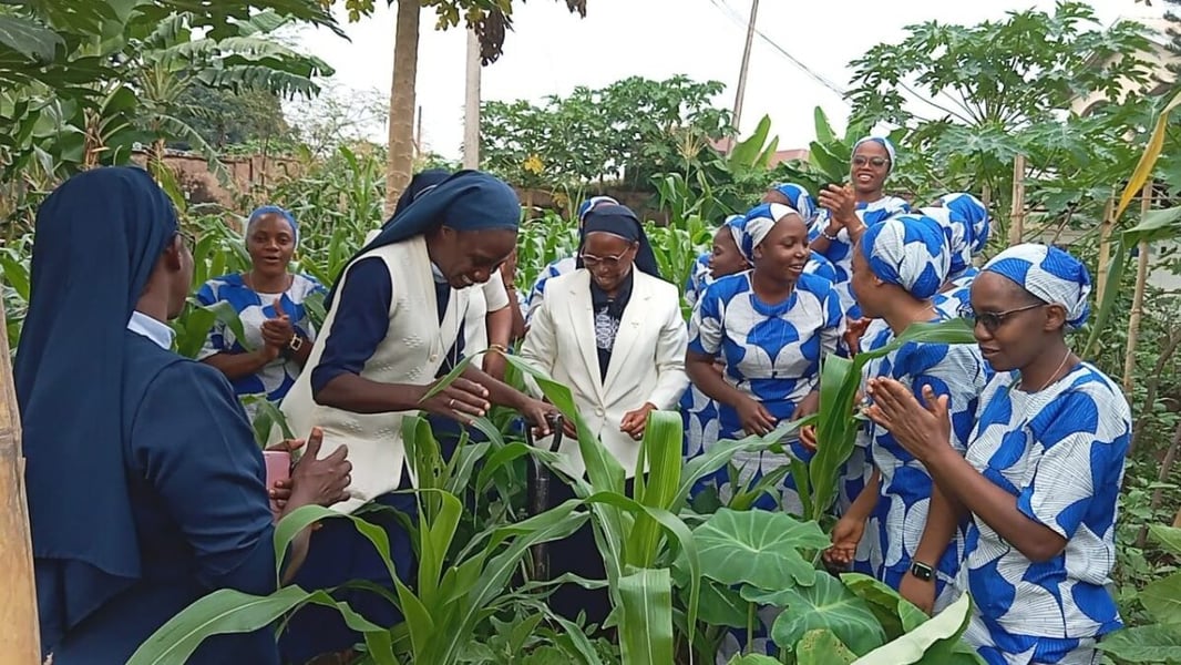 Missionary Sisters of Our Lady of the Holy Rosary in blue and white dress clapping among maize plants in a garden in Nigeria