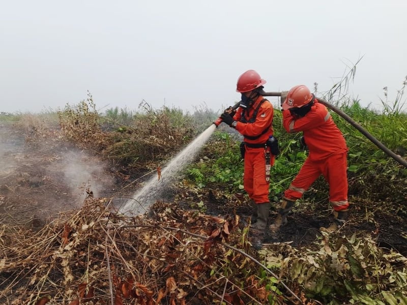 Two firefighters in orange protective gear and helmets spray water on smouldering undergrowth in haze