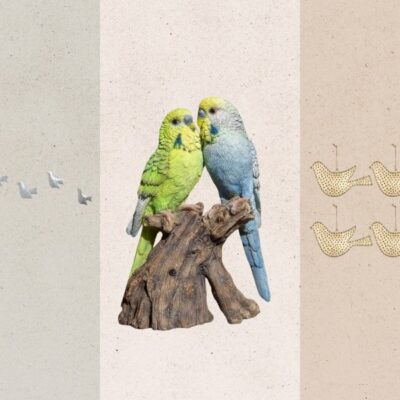 Image accompanying Rolling Stone's report on Kelly Clarkson's bird-themed decor