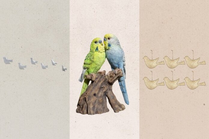 Image accompanying Rolling Stone's report on Kelly Clarkson's bird-themed decor