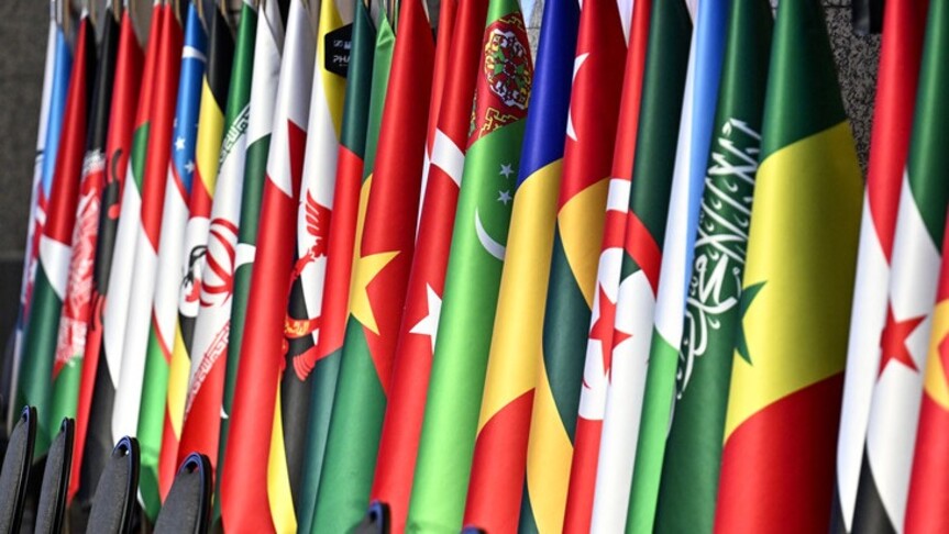 Flags of OIC member states, including Iran, Turkiye and Saudi Arabia, lined up in a row