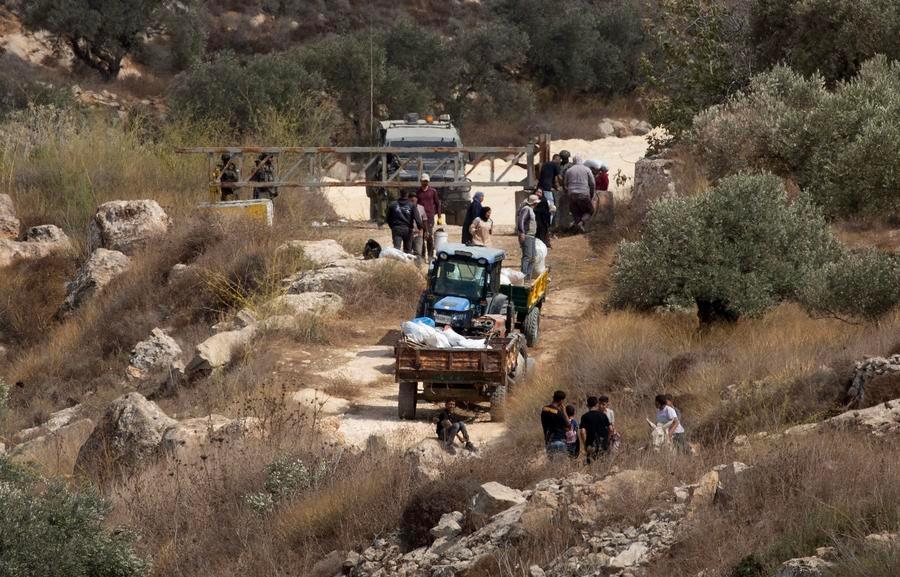 Palestinian farmers with a tractor and trailer at an Israeli military checkpoint gate near olive trees in the village of Salem, West Bank