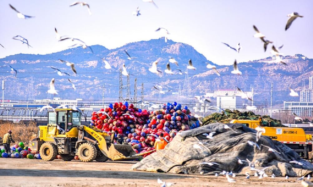 Gulls circle above piled fishing gear and a yellow loader at a fishing port on China's Yellow Sea coast