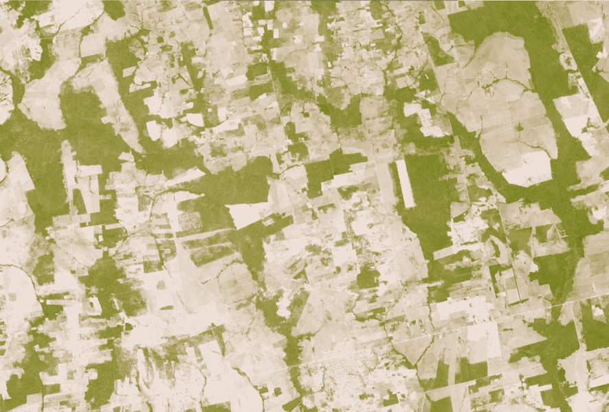 Satellite vegetation-index image of southern Rondonia, Brazil, in 2006 showing cleared land in tan and remaining forest in green