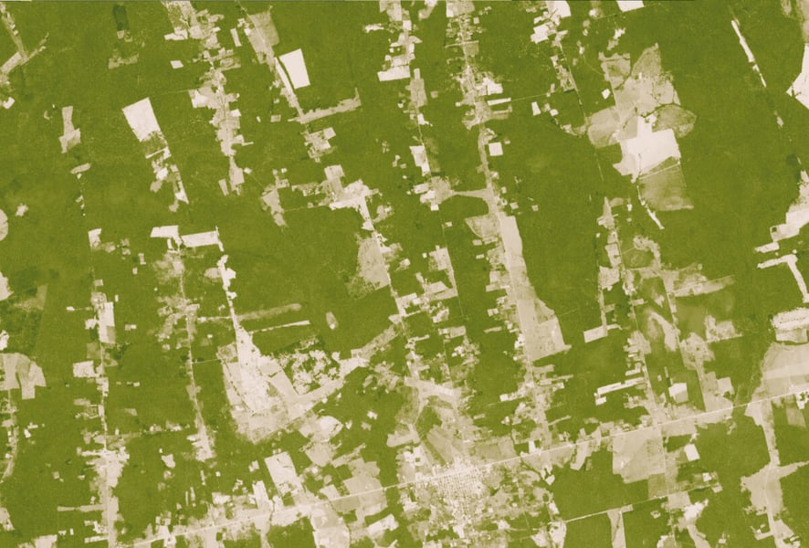 Satellite vegetation-index image of the same southern Rondonia area in 2000, mostly forest in green with small cleared patches in tan